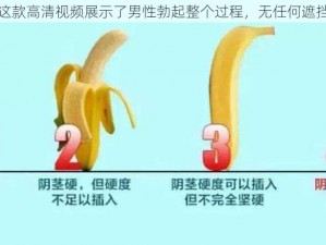 这款高清视频展示了男性勃起整个过程，无任何遮挡