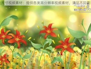 大尺寸视频素材：提供各类高分辨率视频素材，满足不同需求