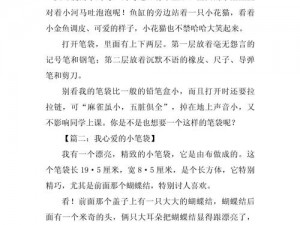 男生的放女生的的作文——容量超大的笔袋，满足你的收纳需求