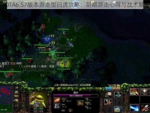 DOTA6.57版本游走型白虎攻略：前期游走心得与战术解析