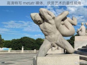 高清特写 metatr 裸体，欣赏艺术的最佳视角