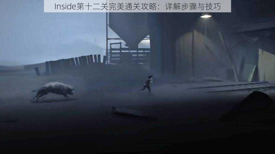 Inside第十二关完美通关攻略：详解步骤与技巧