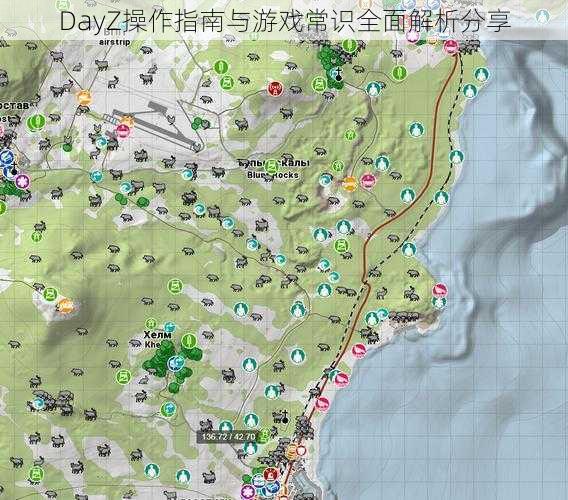 DayZ操作指南与游戏常识全面解析分享