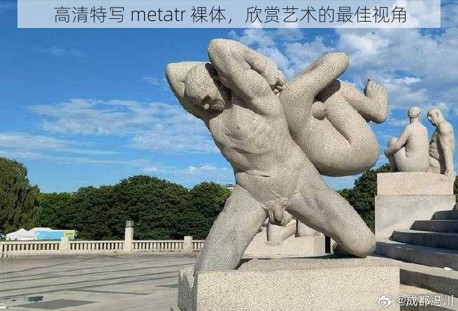 高清特写 metatr 裸体，欣赏艺术的最佳视角