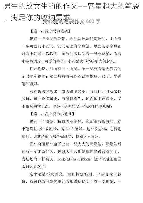 男生的放女生的的作文——容量超大的笔袋，满足你的收纳需求