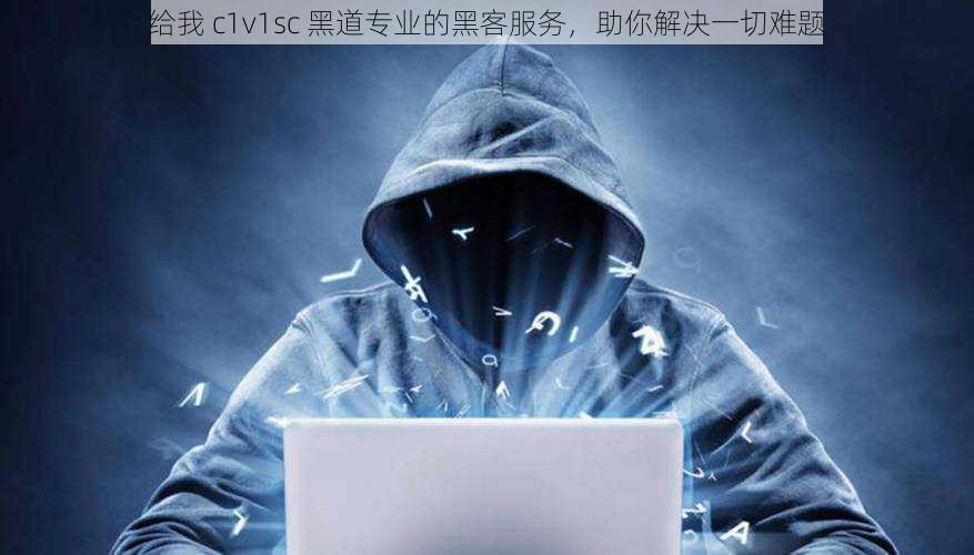 给我 c1v1sc 黑道专业的黑客服务，助你解决一切难题