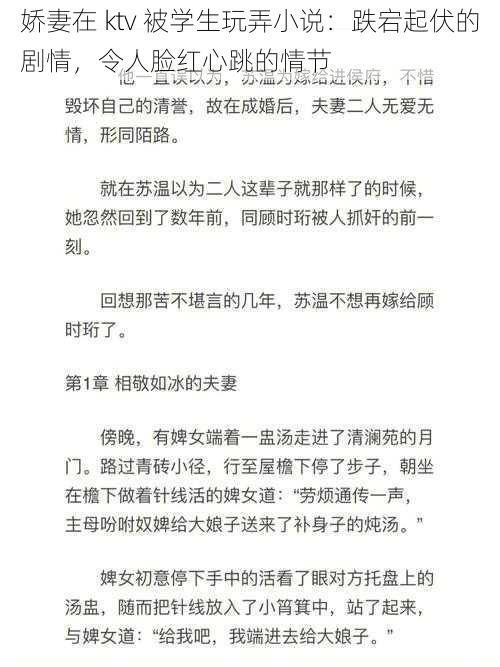 娇妻在 ktv 被学生玩弄小说：跌宕起伏的剧情，令人脸红心跳的情节